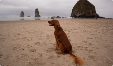 Top Ten Campsites Near The Beach