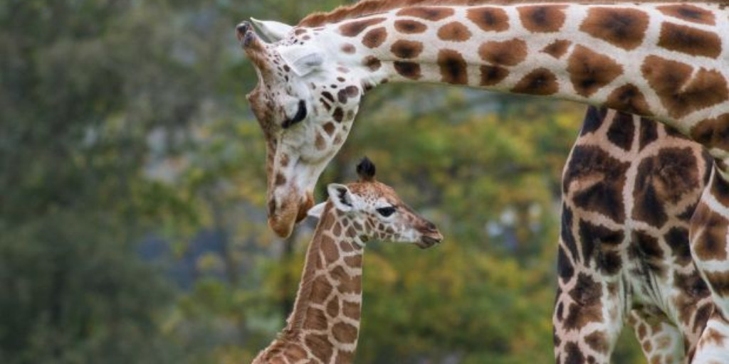 best family day out in cork