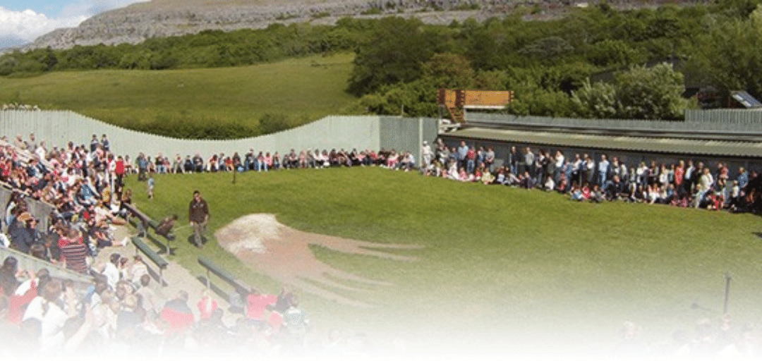 favourite things to do in Clare